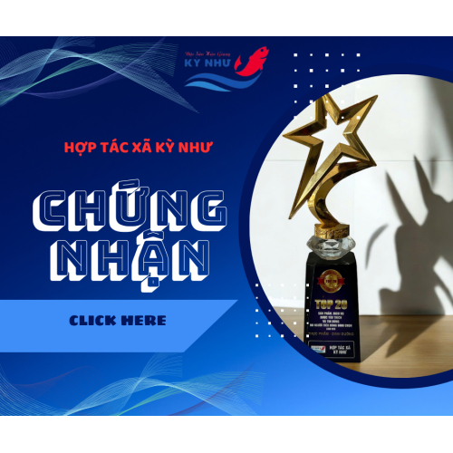 Bộ Giấy Tờ - Chứng Nhận của Hợp Tác Xã Kỳ Như